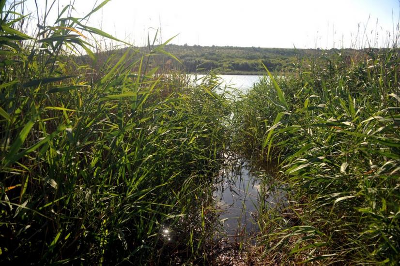 Олександро-Калинове з panoramio.com - Oleksandro-Kalynove