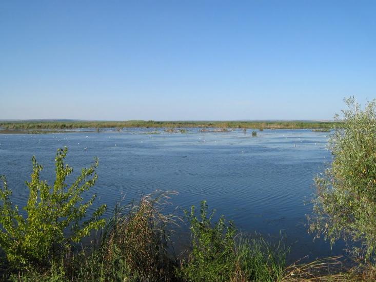 Нова Некрасівка з panoramio.com - Новая Некрасовка