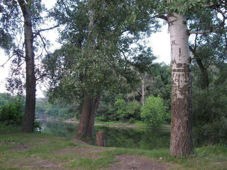 Пискунівка з panoramio.com - Pyskunivka