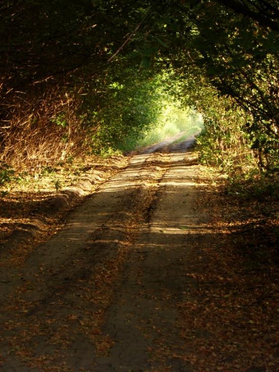 Піщанка з panoramio.com - Песчанка