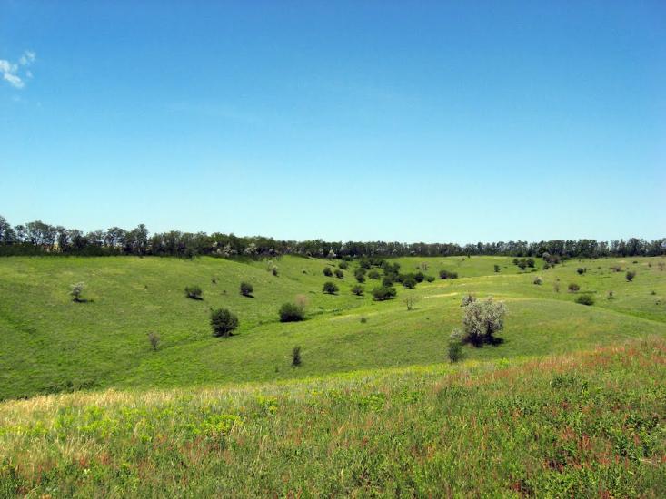 Придніпрянське з panoramio.com - Prydnipryanske