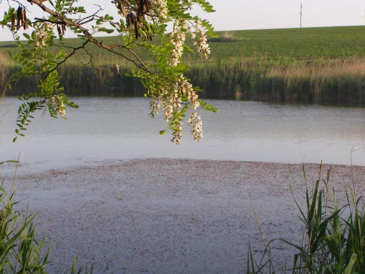 Красноград з panoramio.com - Красноград