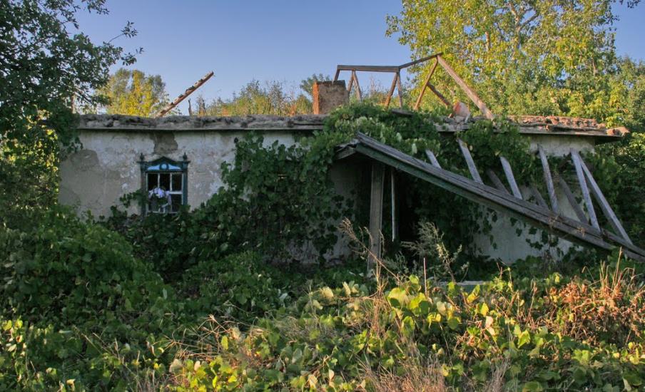 В'язівка з panoramio.com - В'язівка