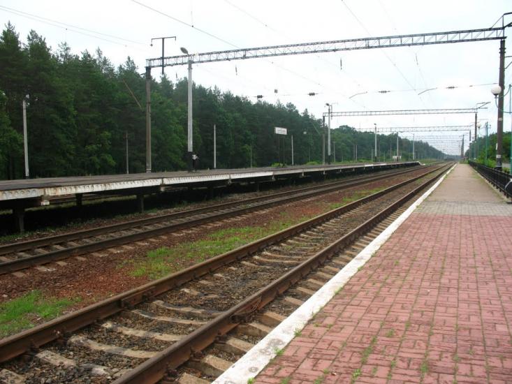 Княжичі з panoramio.com - Княжичі