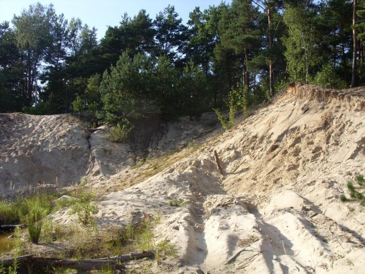 Турійськ з panoramio.com - Турийск