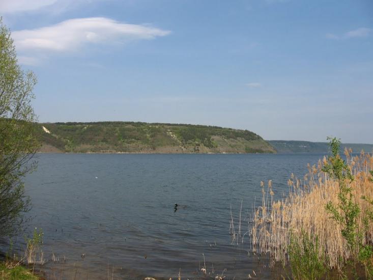 Пижівка з panoramio.com - Пыжовка