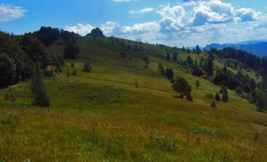Розтоки з panoramio.com - Растоки