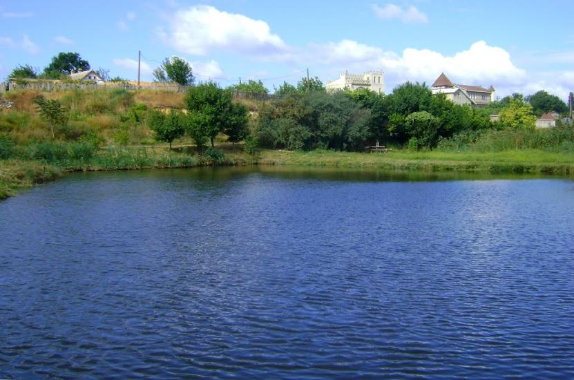 Великий Дальник з panoramio.com - Великий Дальник