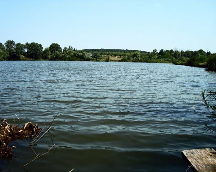 Високий з panoramio.com - Высокий