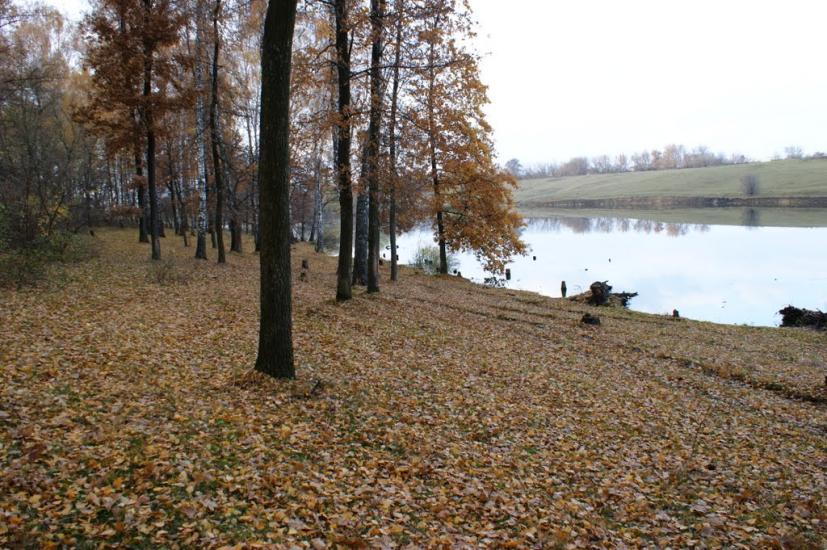 Дібрівка з panoramio.com - Дібрівка