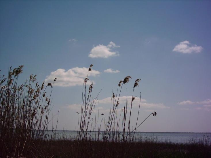 Комишівка з panoramio.com - Камышовка