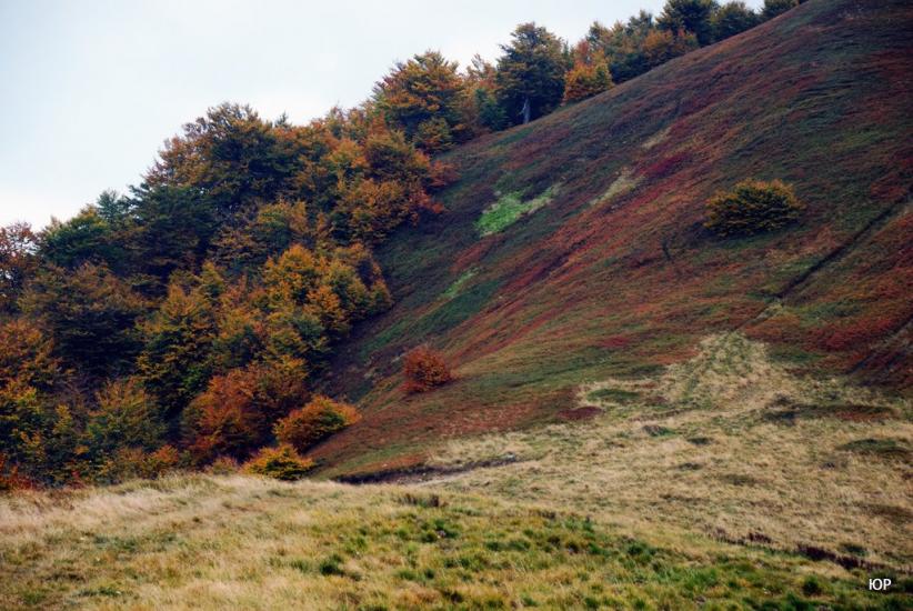 Сопки з panoramio.com - Сопки