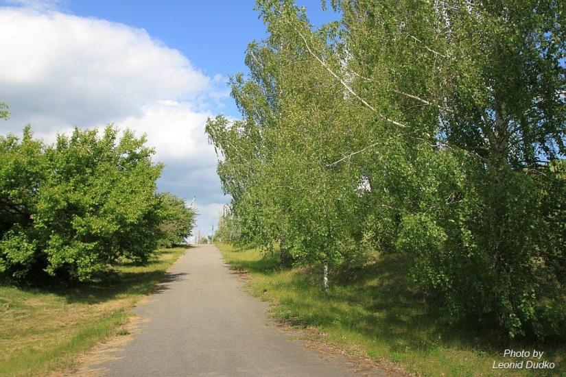 Пронозівка з panoramio.com - Пронозівка