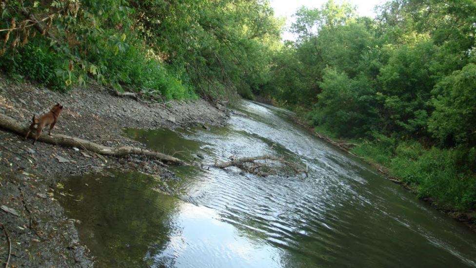 Нижньокринське з panoramio.com - Нижньокринське
