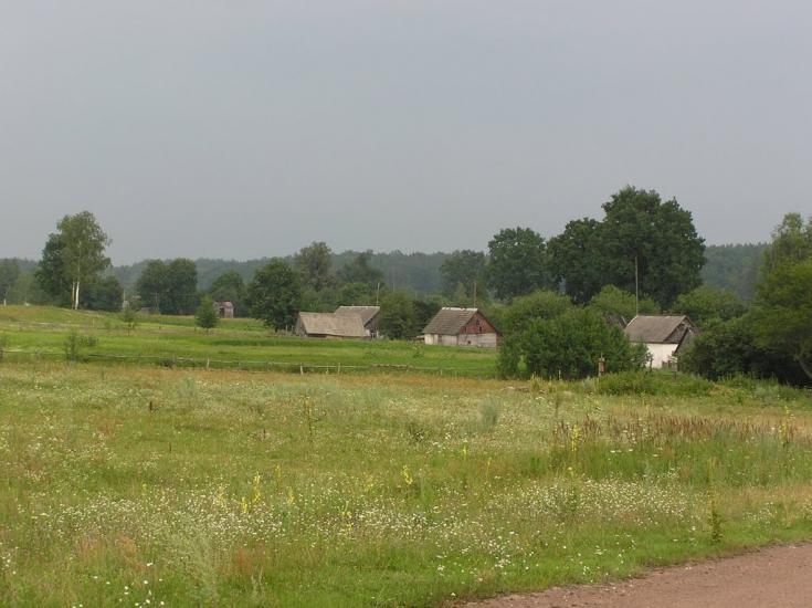 Струмок з panoramio.com - Струмок