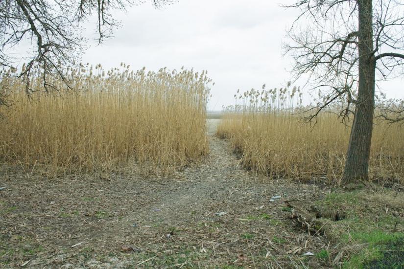 Коврай з panoramio.com - Коврай