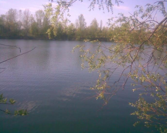 Бушеве з panoramio.com - Бушеве