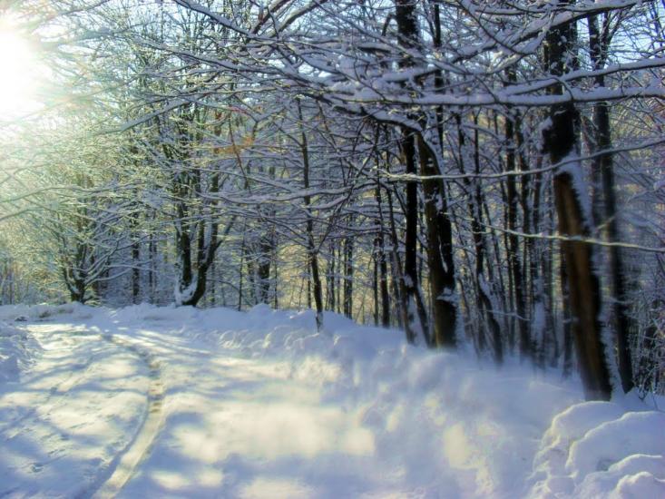 Синяк з panoramio.com - Синяк