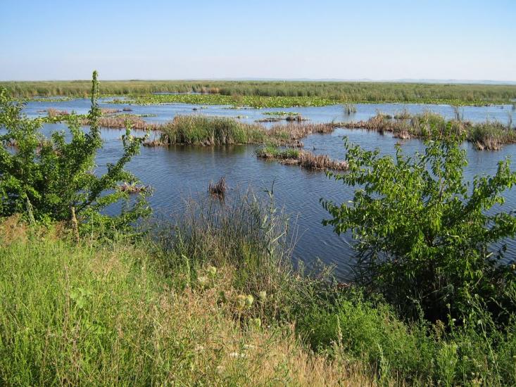 Нова Некрасівка з panoramio.com - Новая Некрасовка