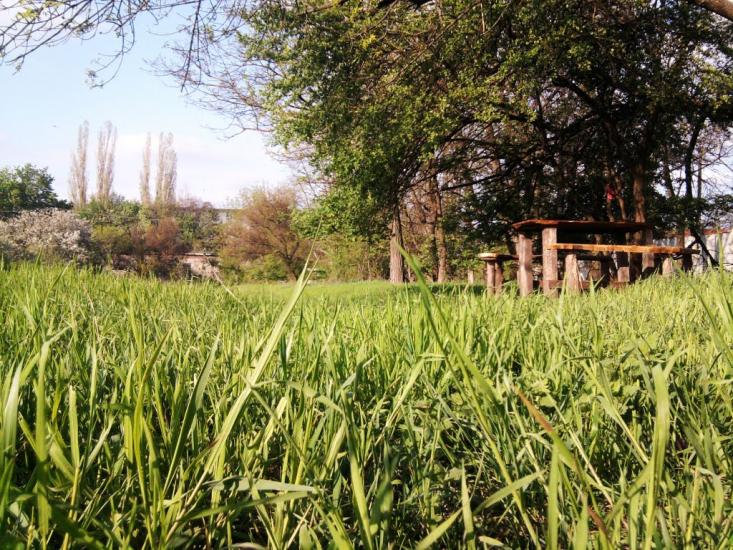 Великодолинське з panoramio.com - Великодолинське