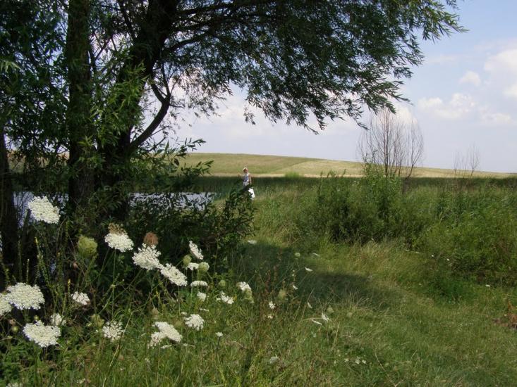 Пінчуки з panoramio.com - Пинчуки