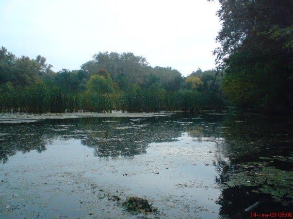 Потоки з panoramio.com - Потоки