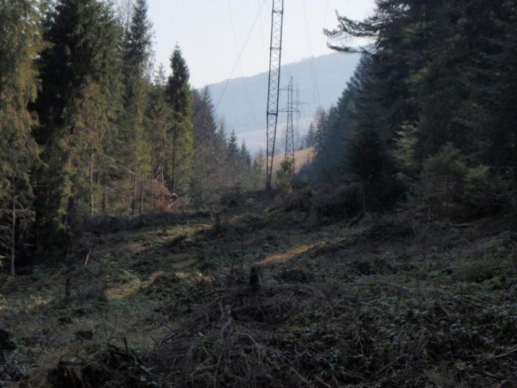 Ставне з panoramio.com - Ставное