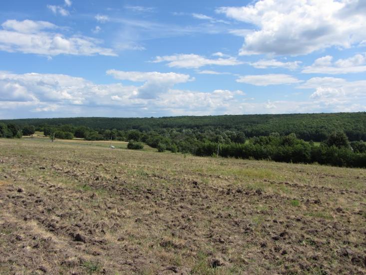 Попівка з panoramio.com - Попівка