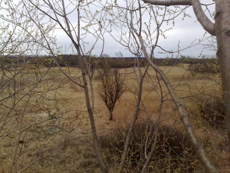 Кицівка з panoramio.com - Кицевка
