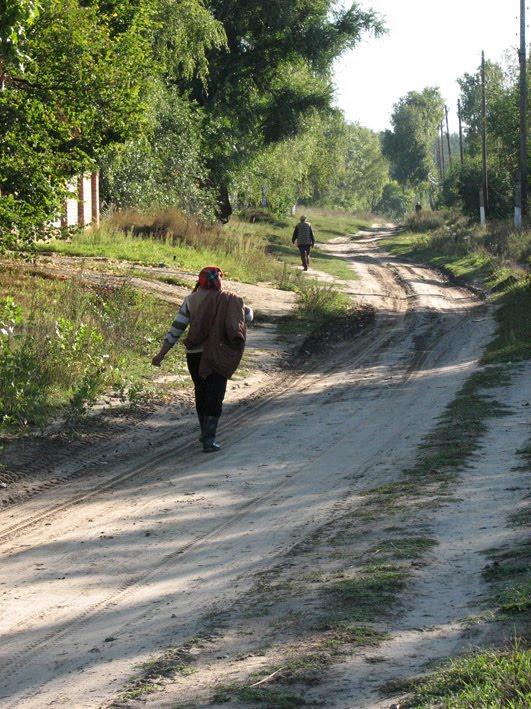 Бірки з panoramio.com - Борки