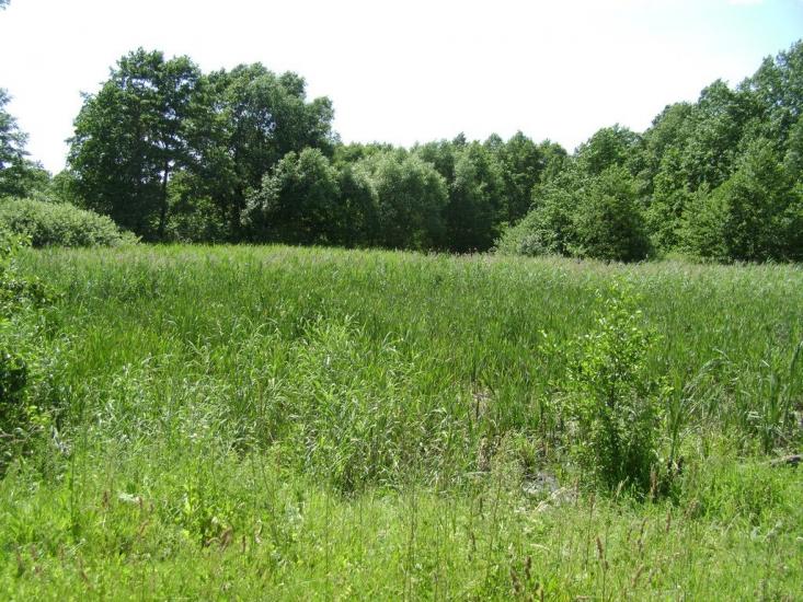 Брагинці з panoramio.com - Брагинці
