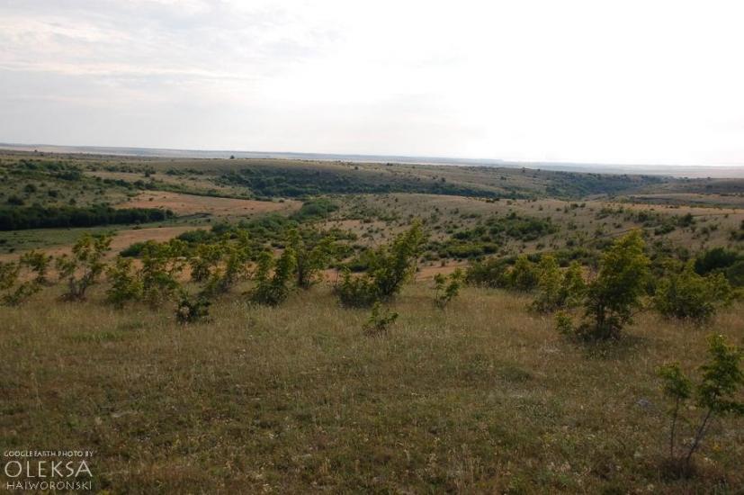 Рєпіне з panoramio.com - Репино