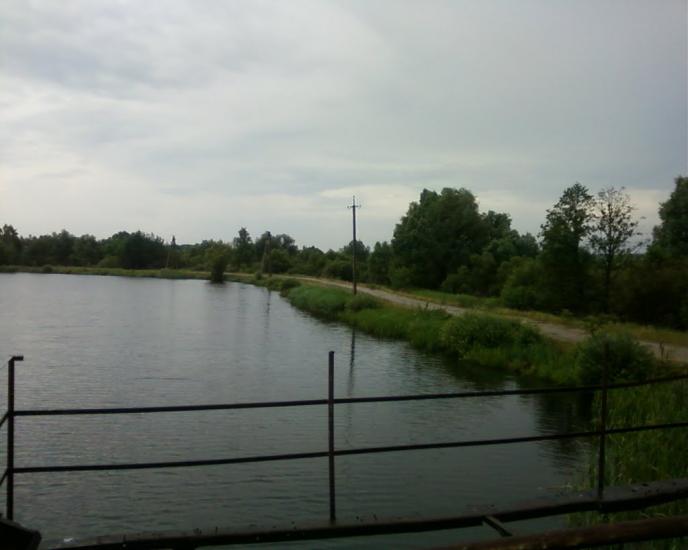 Вишевичі з panoramio.com - Вышевичи