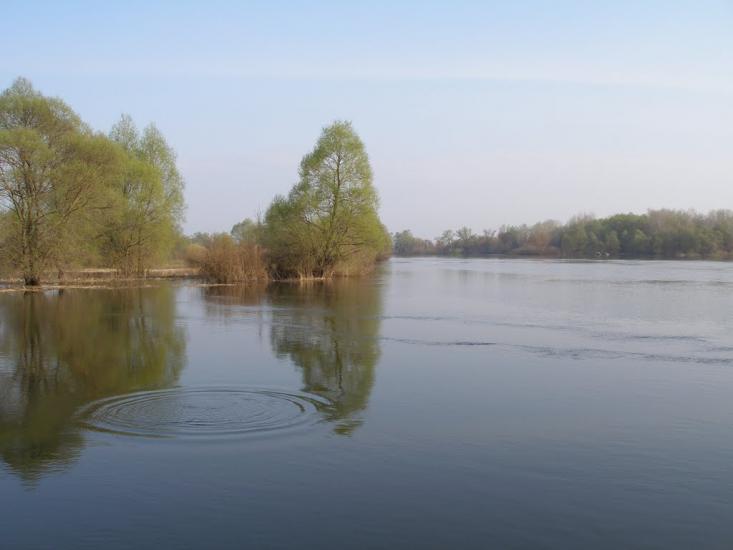 Хрещатик з panoramio.com - Крещатик