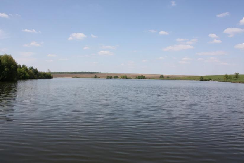 Пашківці з panoramio.com - Пашковцы