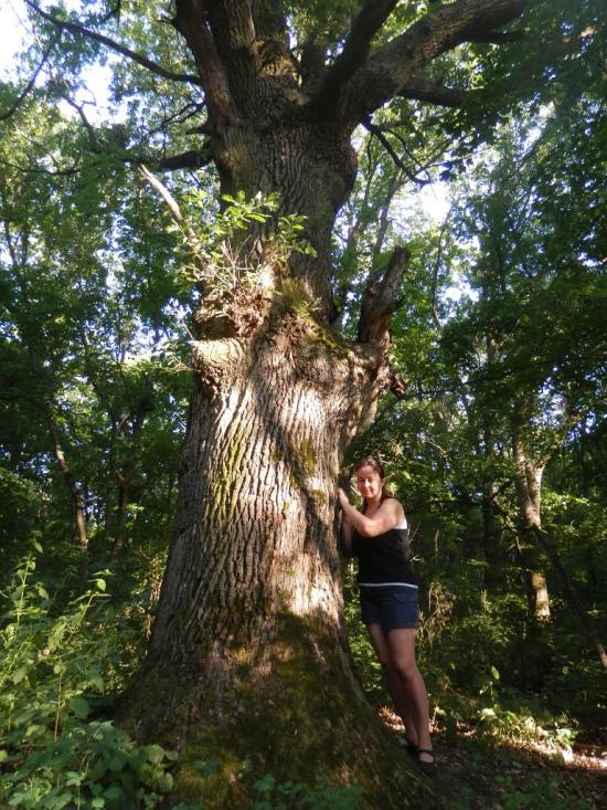 Гвардійське з panoramio.com - Гвардійське