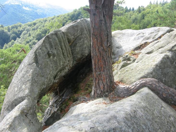 Хорови з panoramio.com - Хоровы