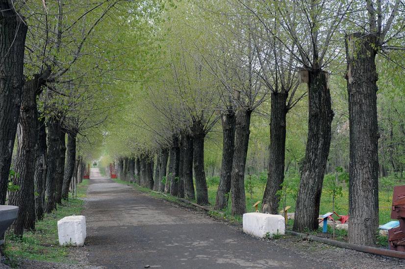 Докучаєвськ з panoramio.com - Докучаєвськ