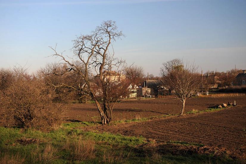 Павлівка з panoramio.com - Павловка