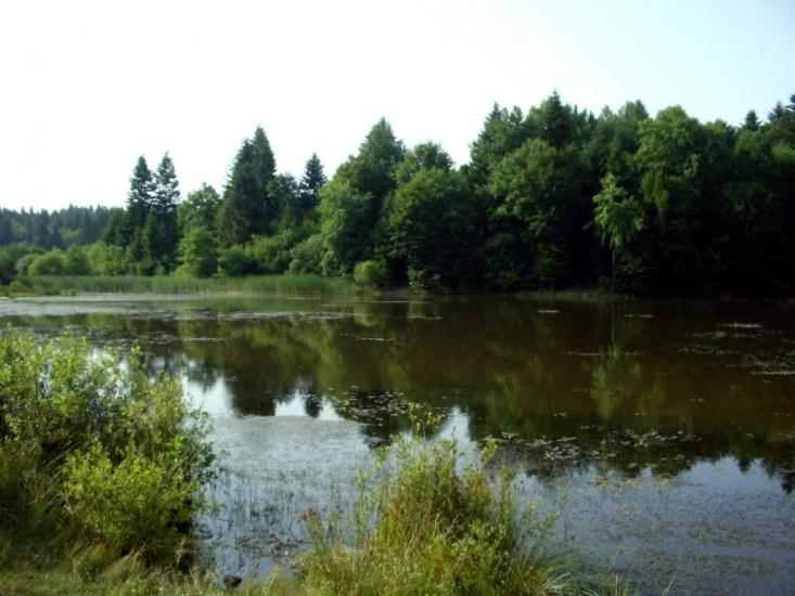 Райнова з panoramio.com - Райнова