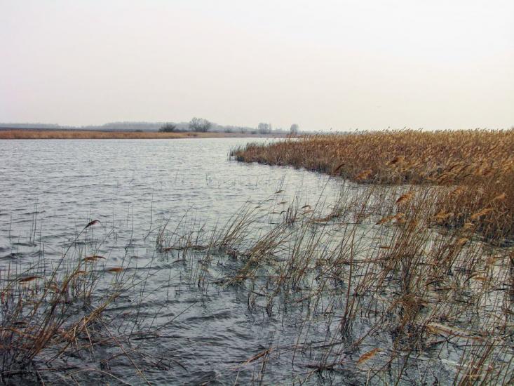 Товкачівка з panoramio.com - Товкачівка