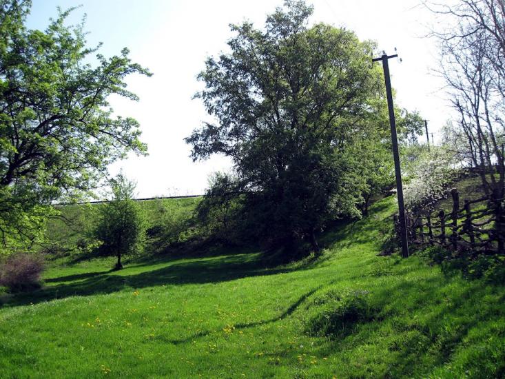 Шкарівка з panoramio.com - Шкаровка