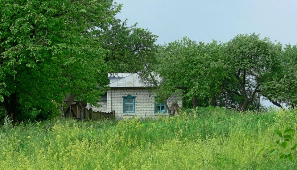 Будище з panoramio.com - Будище