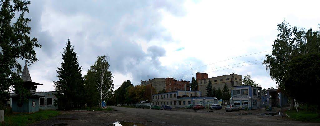 Близнюки з panoramio.com - Близнюки