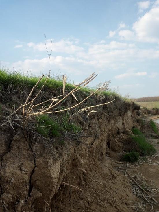 Дерезівка з panoramio.com - Дерезівка