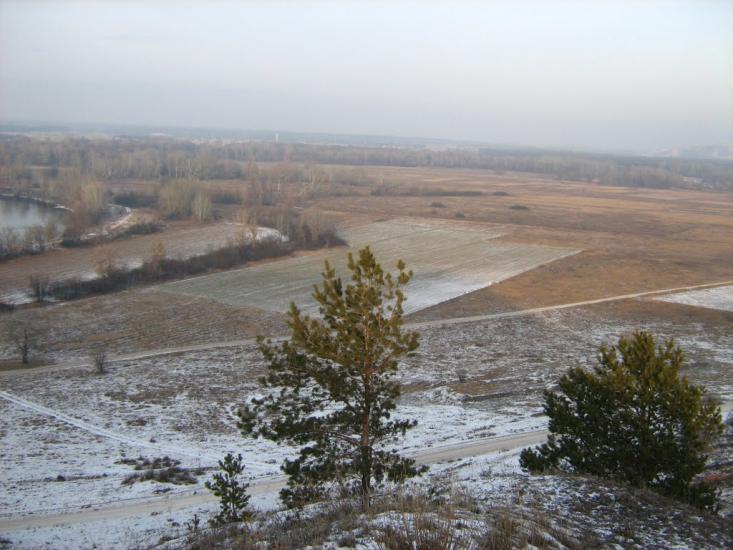 Крива Лука з panoramio.com - Крива Лука