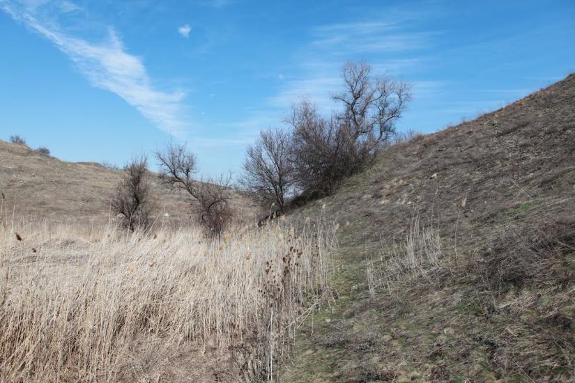 Новокатеринівка з panoramio.com - Новокатеринівка