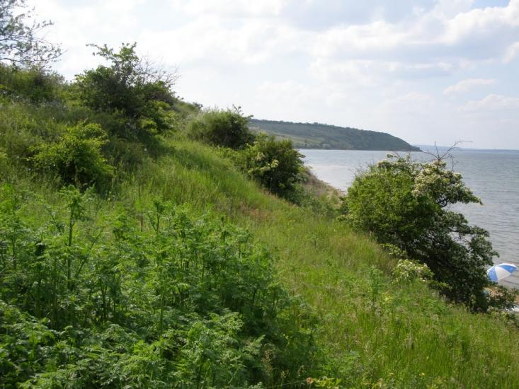 Широке з panoramio.com - Широкое