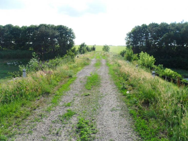 Миколаївські Сади з panoramio.com - Миколаївські Сади