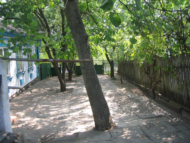 Володимирівка з panoramio.com - Владимировка